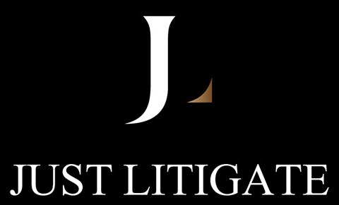 Just Litigate